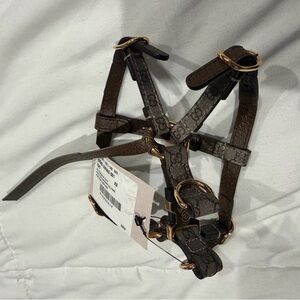 Gucci Harness